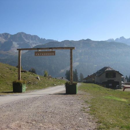 Chalet Francesca Patascoss Apartment Madonna di Campiglio Exterior photo